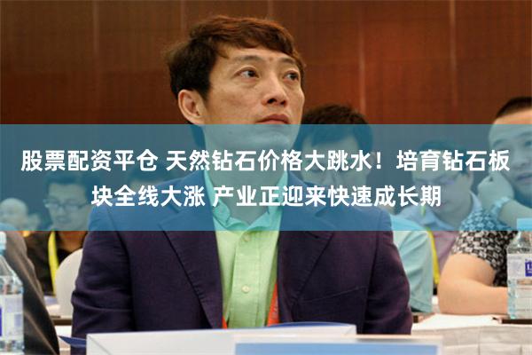 股票配资平仓 天然钻石价格大跳水！培育钻石板块全线大涨 产业正迎来快速成长期