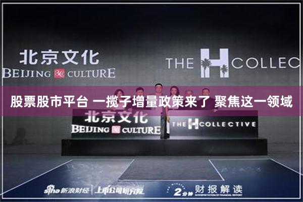 股票股市平台 一揽子增量政策来了 聚焦这一领域