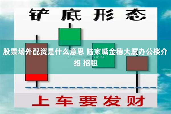 股票场外配资是什么意思 陆家嘴金穗大厦办公楼介绍 招租