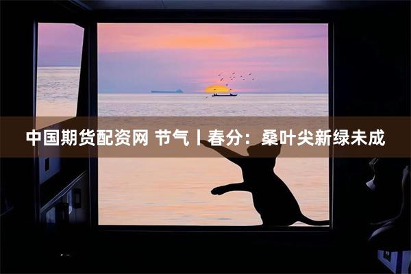 中国期货配资网 节气丨春分：桑叶尖新绿未成