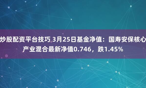 炒股配资平台技巧 3月25日基金净值：国寿安保核心产业混合最新净值0.746，跌1.45%