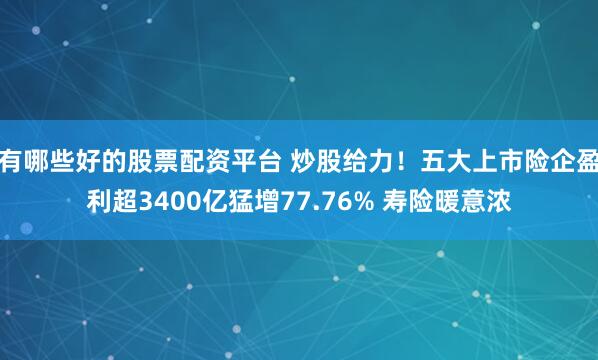 有哪些好的股票配资平台 炒股给力！五大上市险企盈利超3400亿猛增77.76% 寿险暖意浓