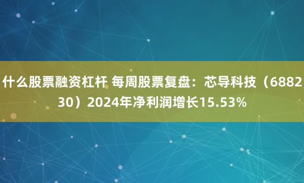 什么股票融资杠杆 每周股票复盘：芯导科技（688230）2024年净利润增长15.53%