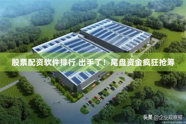 股票配资软件排行 出手了！尾盘资金疯狂抢筹