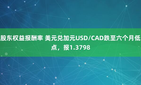 股东权益报酬率 美元兑加元USD/CAD跌至六个月低点，报1.3798