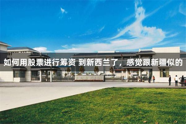 如何用股票进行筹资 到新西兰了，感觉跟新疆似的