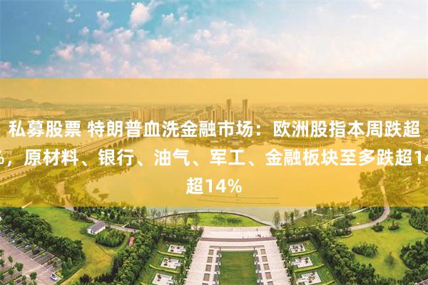 私募股票 特朗普血洗金融市场：欧洲股指本周跌超8%，原材料、银行、油气、军工、金融板块至多跌超14%