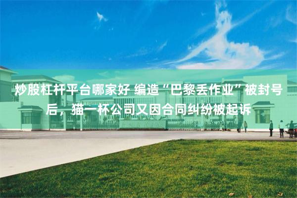 炒股杠杆平台哪家好 编造“巴黎丢作业”被封号后，猫一杯公司又因合同纠纷被起诉