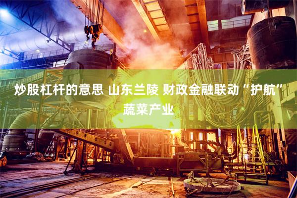 炒股杠杆的意思 山东兰陵 财政金融联动“护航”蔬菜产业