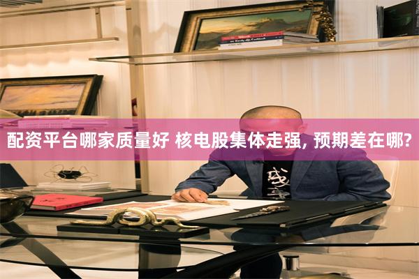 配资平台哪家质量好 核电股集体走强, 预期差在哪?