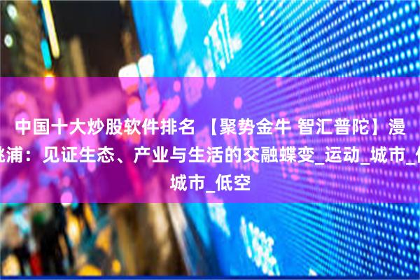中国十大炒股软件排名 【聚势金牛 智汇普陀】漫步桃浦：见证生态、产业与生活的交融蝶变_运动_城市_低空