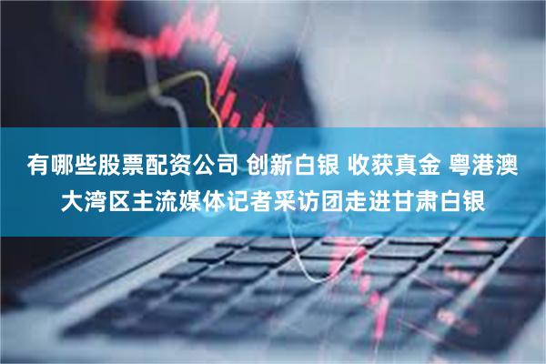有哪些股票配资公司 创新白银 收获真金 粤港澳大湾区主流媒体记者采访团走进甘肃白银
