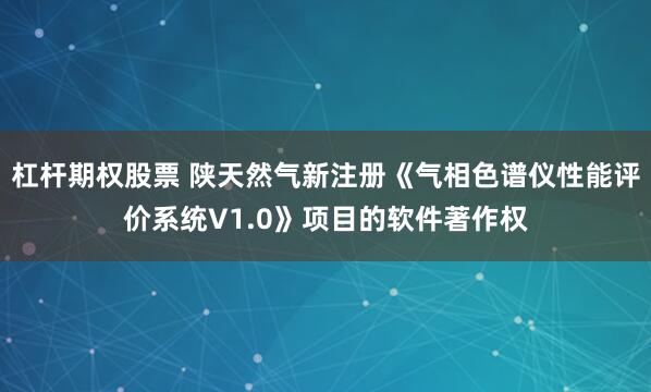 杠杆期权股票 陕天然气新注册《气相色谱仪性能评价系统V1.0》项目的软件著作权