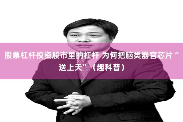 股票杠杆投资股市里的杠杆 为何把脑类器官芯片“送上天”（趣科普）