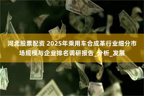 河北股票配资 2025年乘用车合成革行业细分市场规模与企业排名调研报告_分析_发展