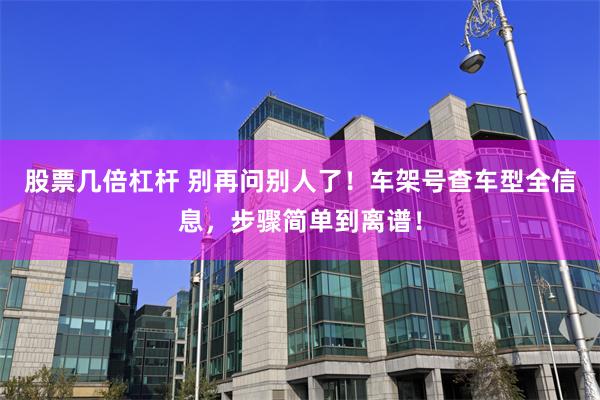 股票几倍杠杆 别再问别人了!车架号查车型全信息,步骤简单到离谱!
