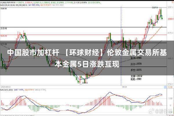 中国股市加杠杆 【环球财经】伦敦金属交易所基本金属5日涨跌互现